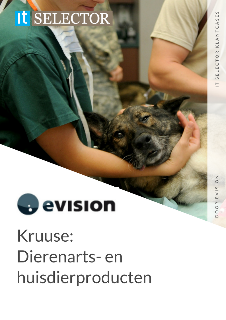 Klantcase Evision Kruuse - IT Selector