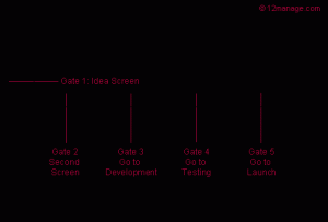 stage-gate model