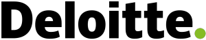 logo erp leverancier deloitte netsuite oracle