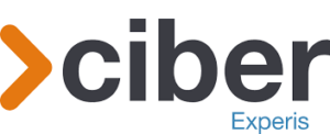 logo erp leverancier experis ciber itselector