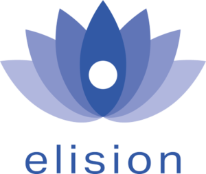 Elision logo ERP Leverancier